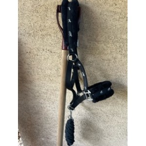 Licol mouton noir cob