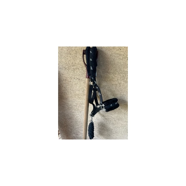 Licol mouton noir cob