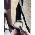 Licol mouton noir cob