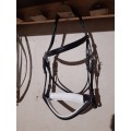Filet Equipe dressage NEUF
