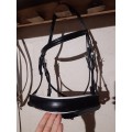 Filet Equipe dressage NEUF