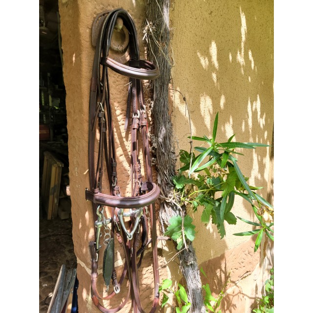 Bride Privilège Equitation