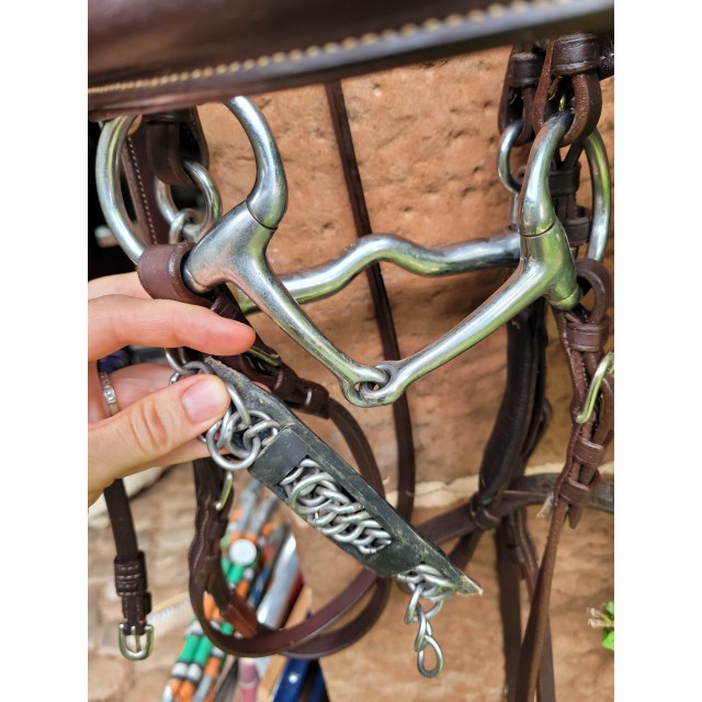 Bride Privilège Equitation