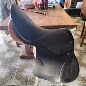 Selle Stuebben Siegfried