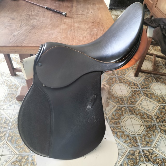 Selle Stuebben Siegfried