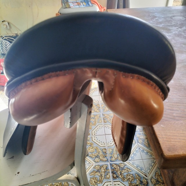 Selle Stuebben Siegfried