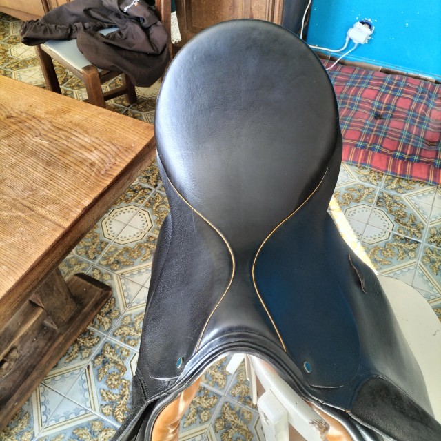 Selle Stuebben Siegfried