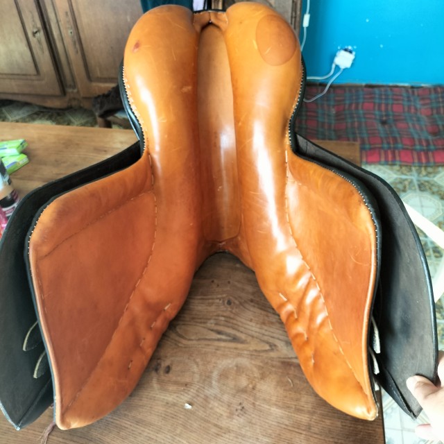Selle Stuebben Siegfried