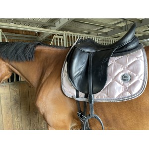 Tapis dressage MONTAR