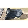 Selle Wintec 17"5