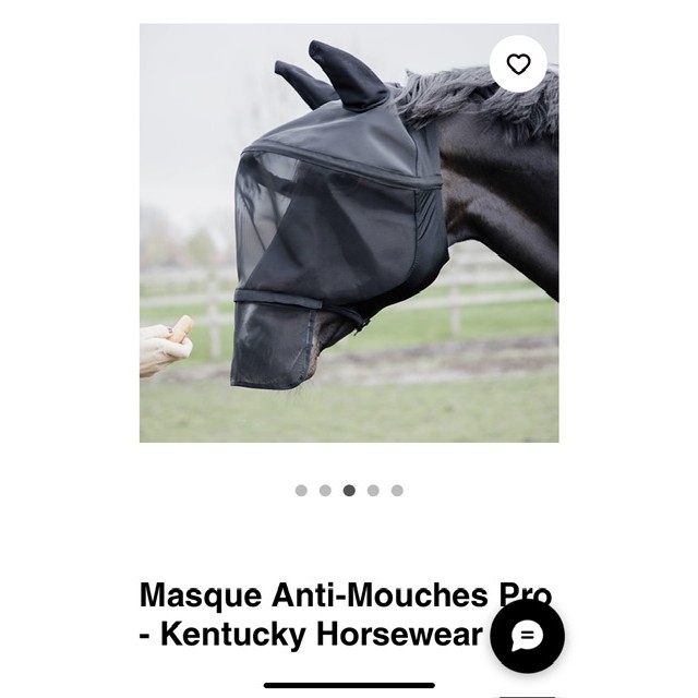 Masque anti mouche Kentucky