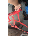Licol rouge