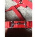 Licol rouge