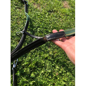 Collier de chasse + matingale