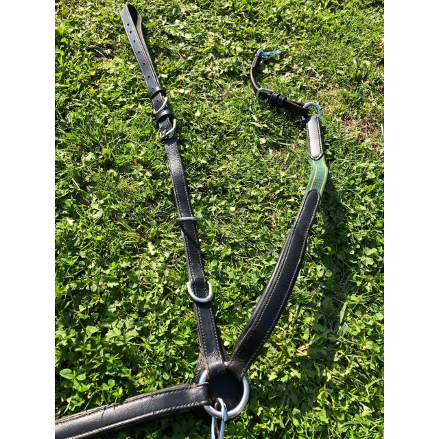 Collier de chasse + matingale