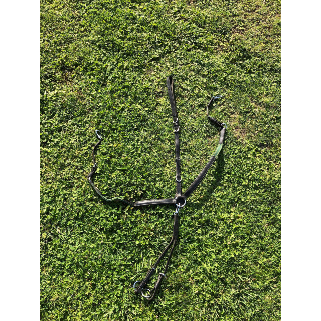 Collier de chasse + matingale