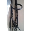 Bridon Time Rider Type Assy - croisée