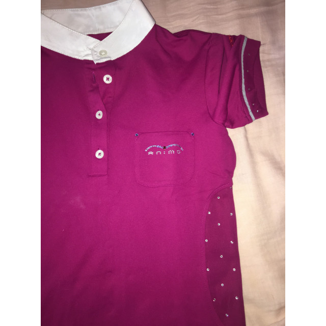 Polo animo