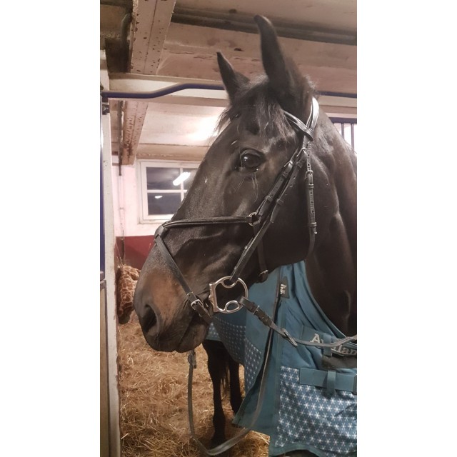 Bridon DEVOUCOUX