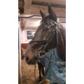 Bridon DEVOUCOUX