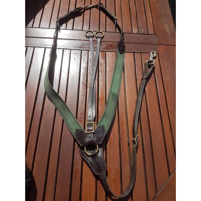 Collier de chasse Equipe