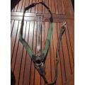Collier de chasse Equipe