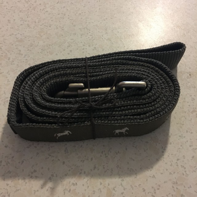 Longe plate pour licol