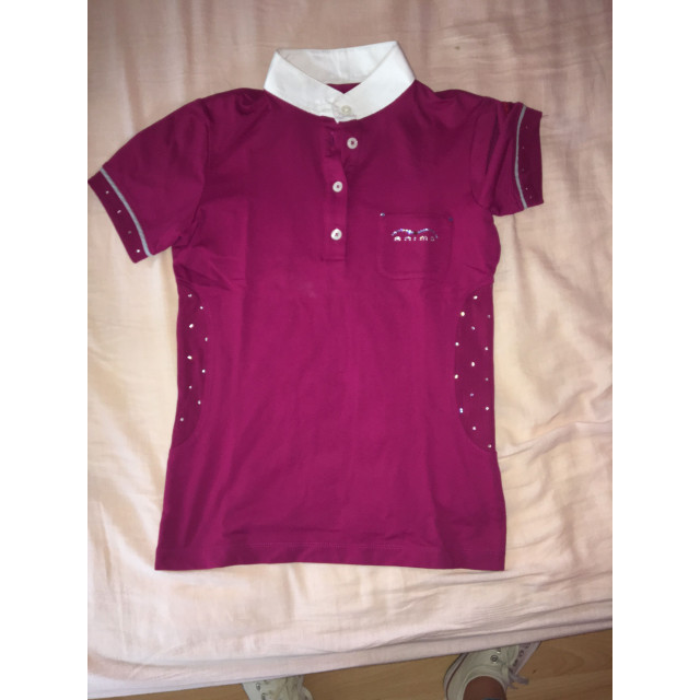 Polo animo