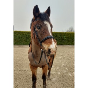 Bridon COB kieffer