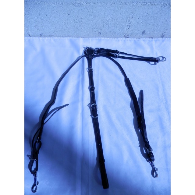 Collier de chasse + martingale