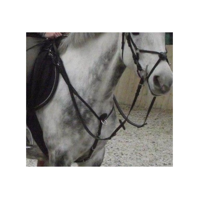 Collier de chasse + martingale