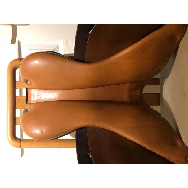 Selle Terry’s taille 17