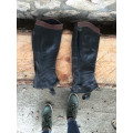 Mini chaps LamiCell