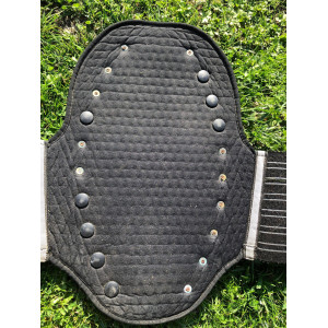 Protection de dos Zandona