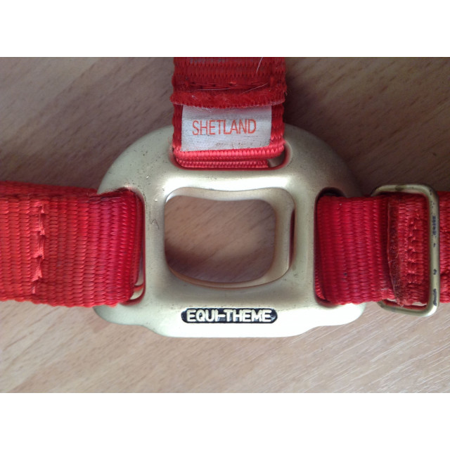 Licol Plat EquiThème