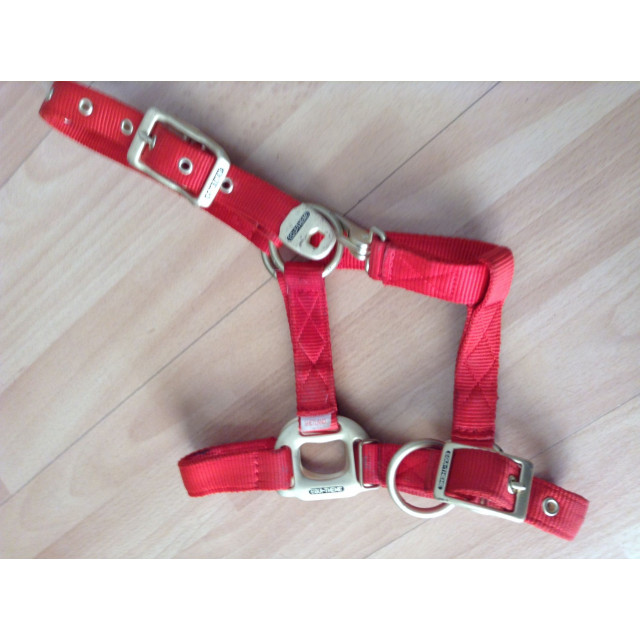 Licol Plat EquiThème