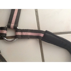 Licol Poney + Longe Rose et Gris