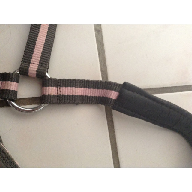 Licol Poney + Longe Rose et Gris