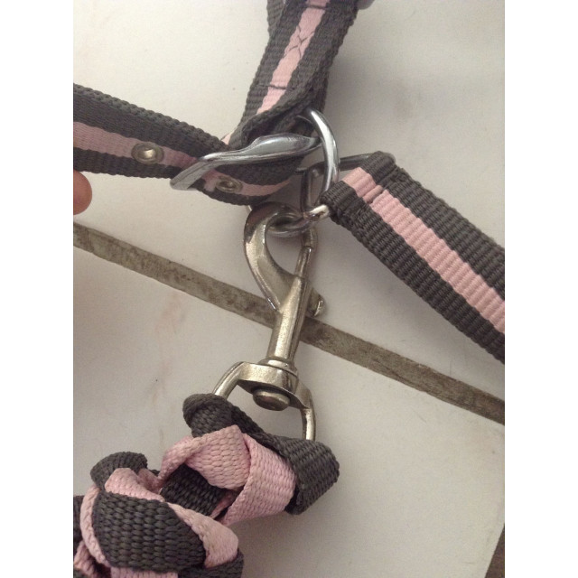 Licol Poney + Longe Rose et Gris