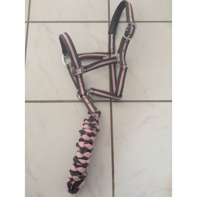 Licol Poney + Longe Rose et Gris