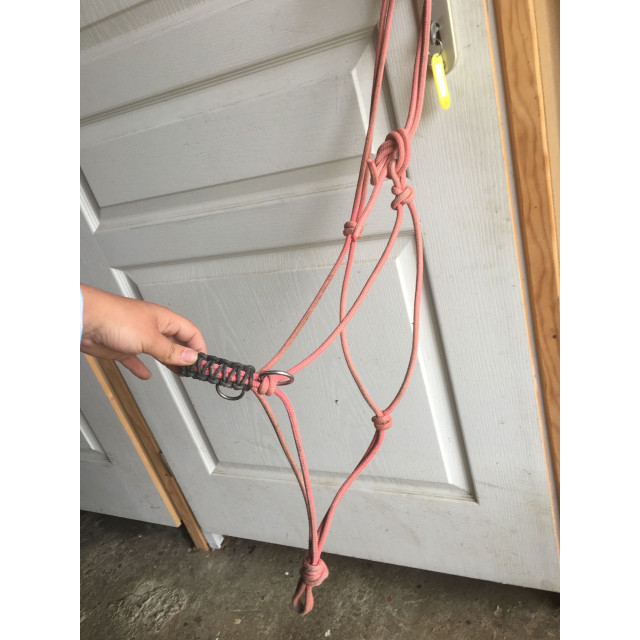 licol ethologique / side pull