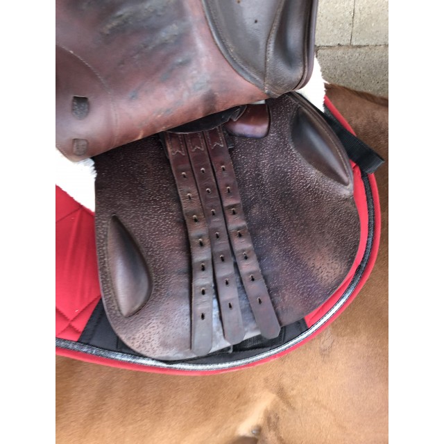 Selle Prestige 17’ TBE