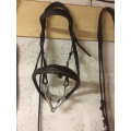 Filet cuir noir taille cob