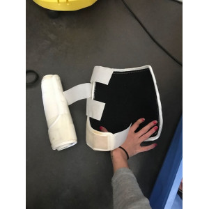 Protection blanche dressage