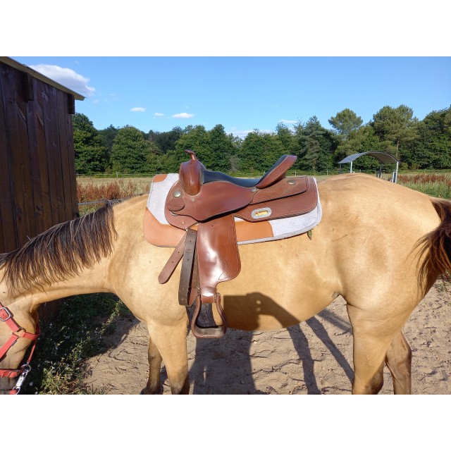 Selle western