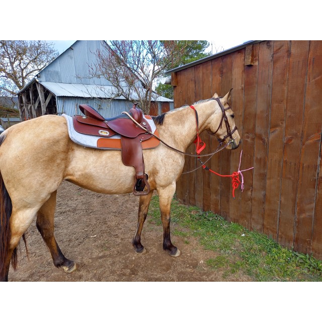 Selle western