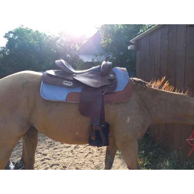 Selle western