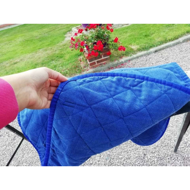 Tapis bleu