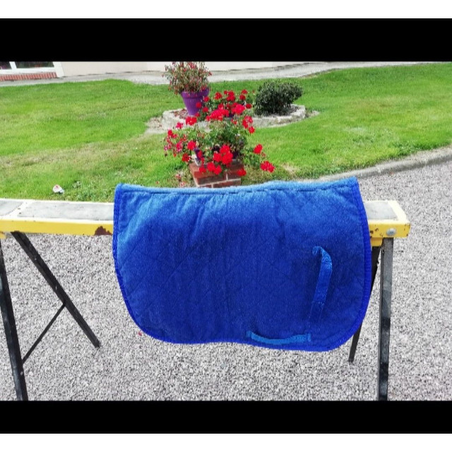 Tapis bleu
