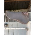 Amortisseur Kentucky cheval